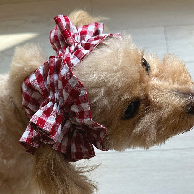 아엠댕댕 프릴체크 이어슈슈 강아지 귀통풍 스누드 염증밴드 귓병예방, 1개, 레드체크