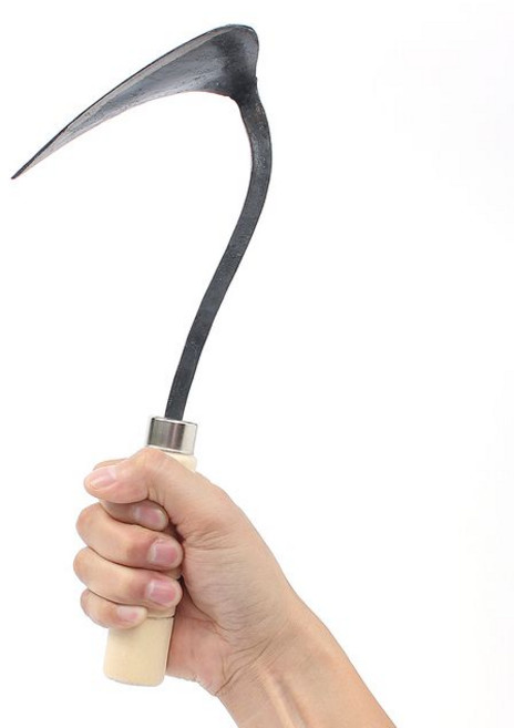 앙플랜트 호미 기본형, 2개