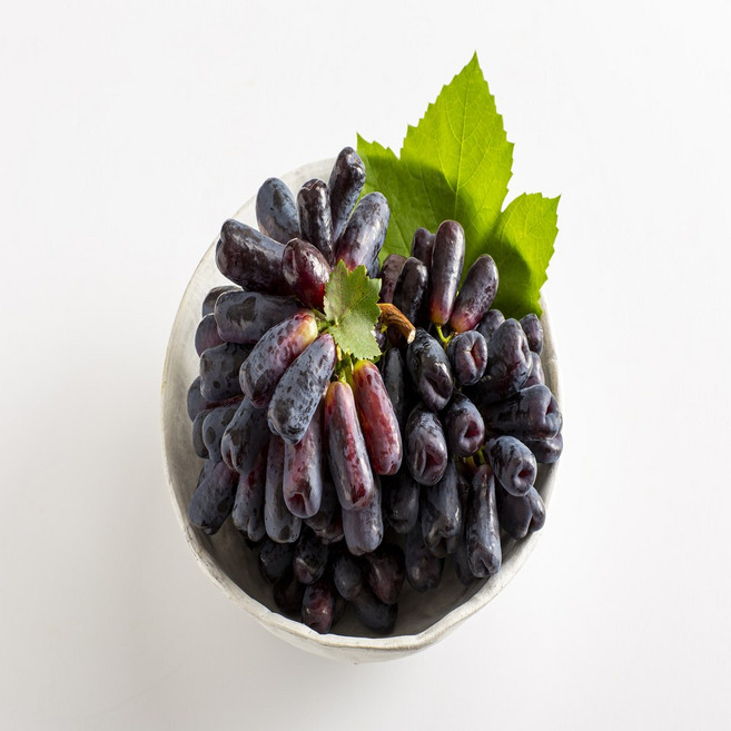 자연온담 고당도 블랙사파이 포도 씨없는 가지포도 스윗사파이어포도, 1박스, 500g