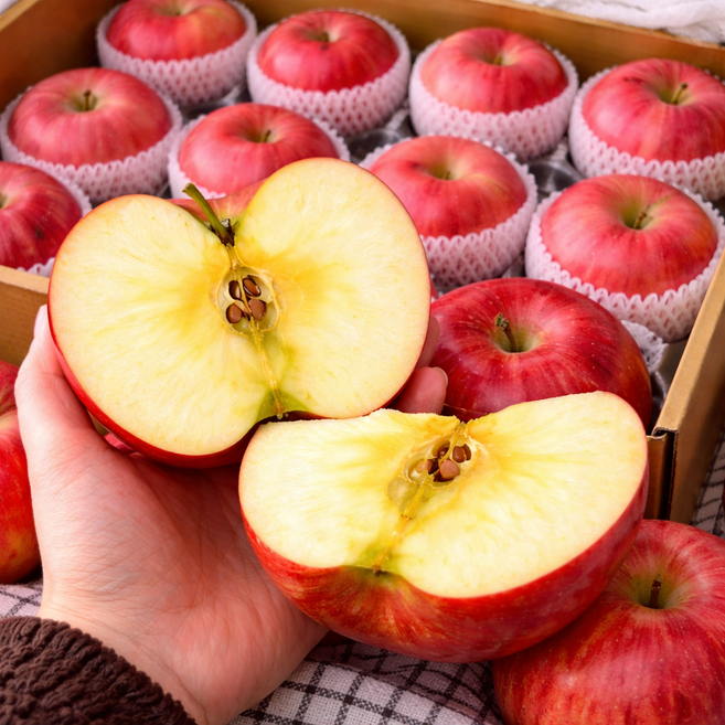 [오늘만 60%할인] 충주 꿀이 팡 터지는 햇 아삭이 부사 사과 10KG 특대과, 1박스