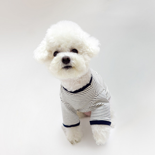 스타일독 강아지옷 미카 스트라이프 라운드, 1개, 네이비