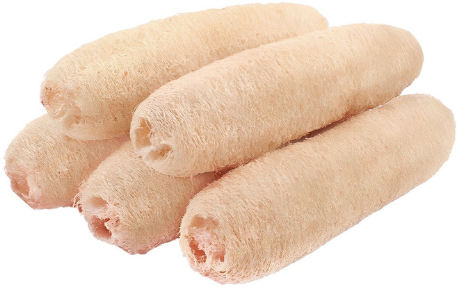 투데이리빙 5개 세트 천연 수세미 25cm 주방 설거지 잘라쓰는, 1세트, R99571A(5개 세트