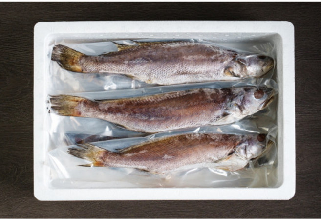 국내산 제주 민어, 1개, 반건조 민어(제수용품)