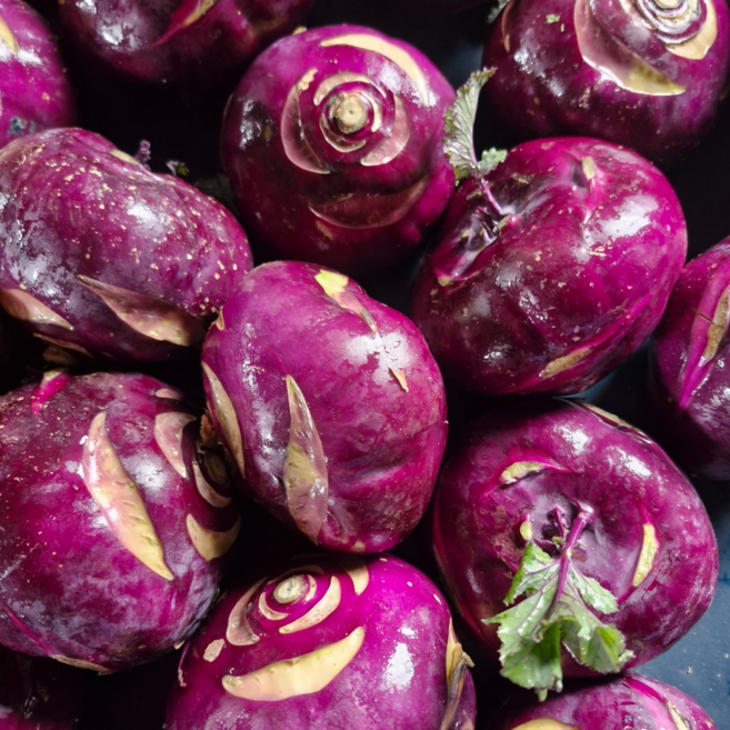 제주 산지직송 초고당도 콜라비 (대과), 1개, 10kg