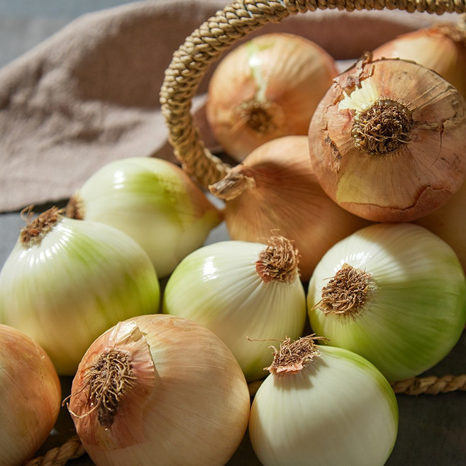 국내산 단단한 햇 양파 (당일배송), 1개, 5kg (중)