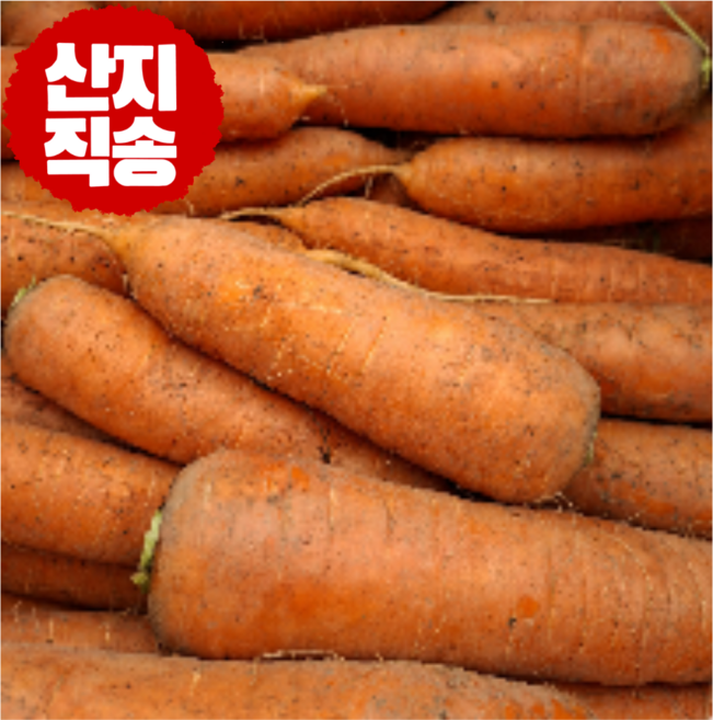 [산지직송] 2026년 국내산 햇당근 신선 아삭 제철 당근, 1박스, 햇 당근 1kg / 왕
