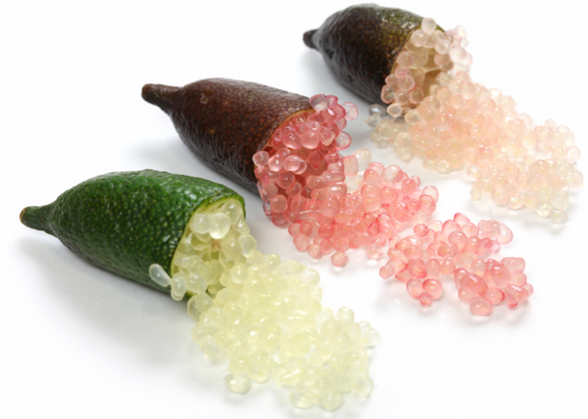 상큼팡팡 비타민듬뿍 국산핑거라임 Finger Lime 입안에서 톡터지는핑거라임 캐비어라임 ASMR과일 라임 바다포도 냉동핑거라임과일, 1개