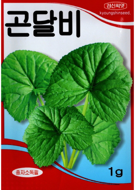 곤달비씨앗 1g 시베리아 곰취 토속 쌈채 씨앗 종자, 1개