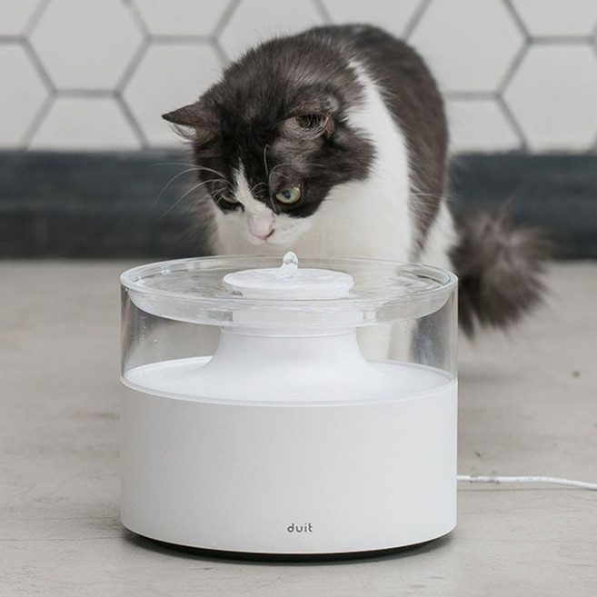 DUIT 반려동물 워터팟 정수기, WPS-1000, 화이트, 1개