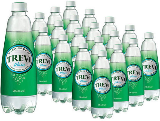 트레비 플레인 40펫 (et ), 1개, 300ml