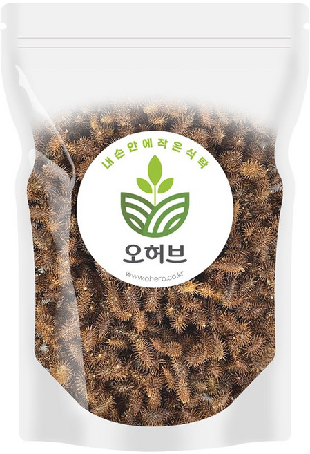 국산 창이자 도꼬마리 독고마리 도꼬마리열매 1kg, 1개