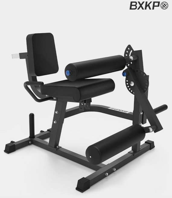 가정용 헬스기구 시티드 레그컬 레그익스텐션 머신, 6. BXA2 레드 20KG