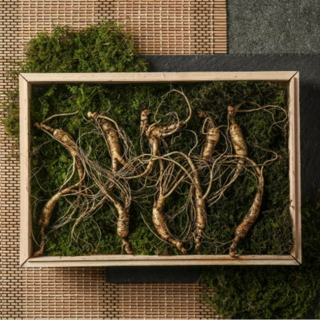 [산지직송] [특등급] 산양삼 장뇌삼 10년근 10뿌리 고품격선물set+산양삼진액7일분, 1세트, 1g