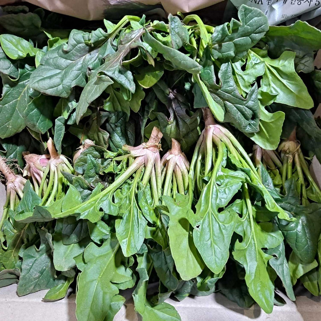 해풍맞은 보물초 남해 시금치 중량선택, 1세트, 2kg