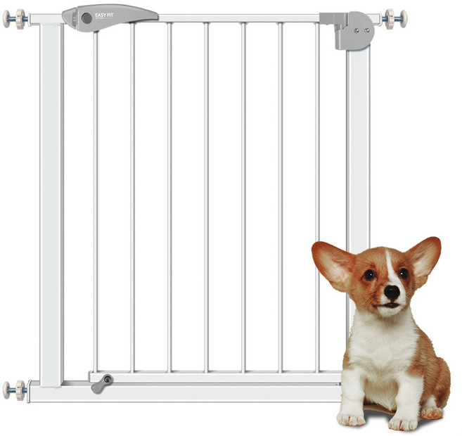 이지핏 프리미엄 유아 반려동물 안전문