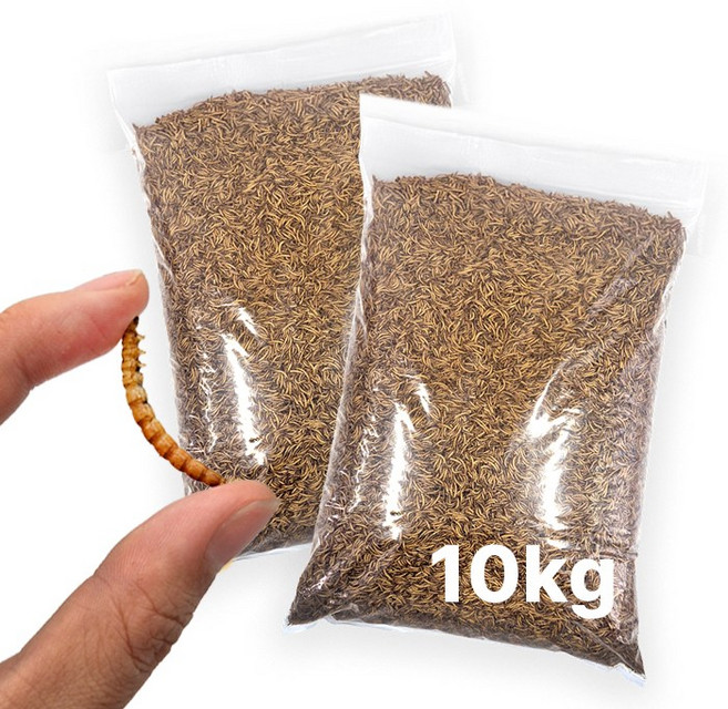 그로비타 건조밀웜 초대용량 5KG, 1개, 10kg