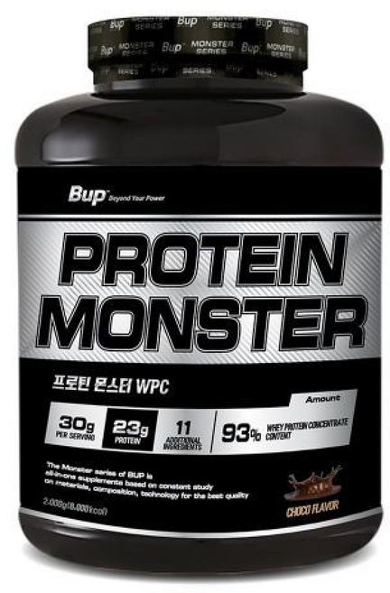 프로틴몬스터 WPC 93% 초코맛 단백질 보충제 프로틴, 1개, 2kg