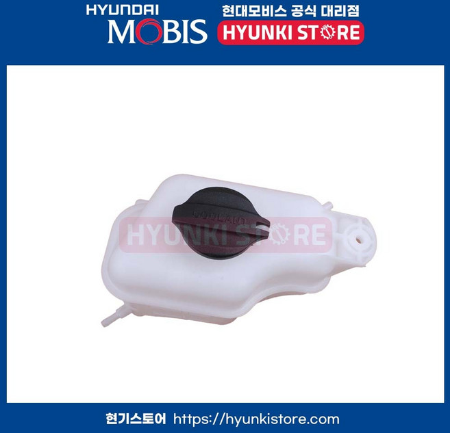 탱크 리저버 (254302W000)