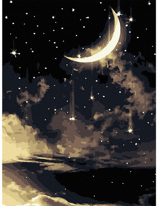 밤하늘 (캔버스) 명화그리기 30x40, 단품, 1개