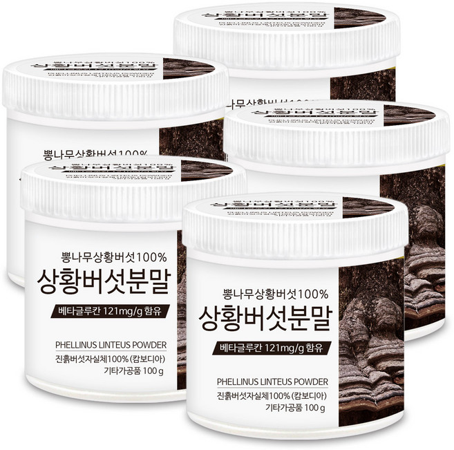 푸른들판 뽕나무 상황버섯 가루 분말 100% 베타글루칸 상황버섯 차 캄보디아, 5개, 100g