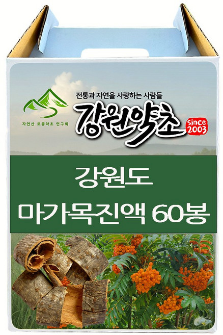 (강원약초) 강원도 마가목껍질 진액 정선 마가목 껍질 100% 무첨가물 48시간 저온 추출 원적외선 특수기능 사용 추출한 진액, 60개, 100ml