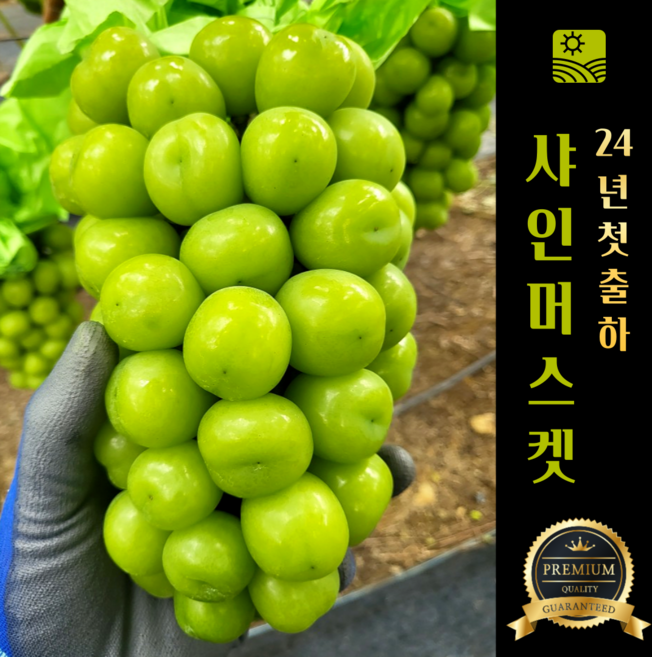[농장직송 에어캡안전포장] 고당도 프리미엄 샤인머스캣 (18브릭스초과), 1박스, 프리미엄(특)1kg (2송이)