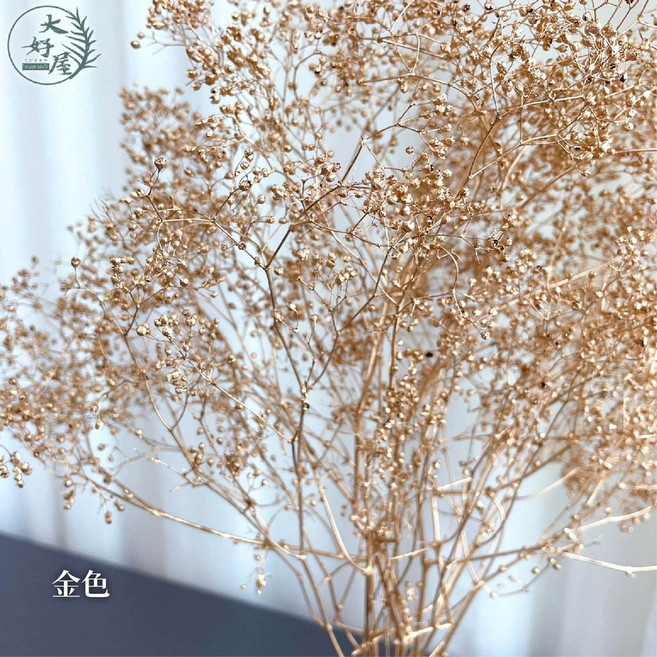 大好屋 迷你滿天星 百萬星 永生花乾燥花 花藝配花 室內裝飾, 百萬星, 金色