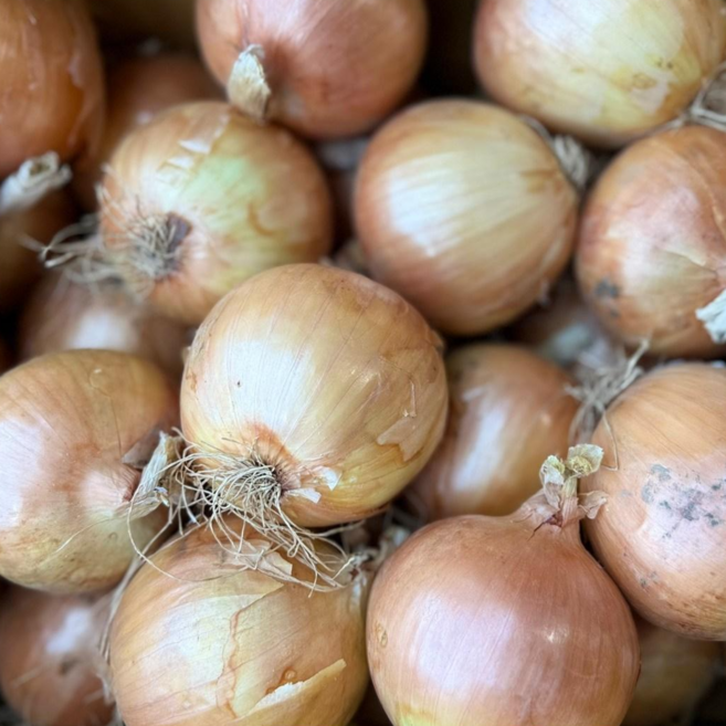 정직한 먹거리 26년 국내산햇 양파 특품/장아찌, 1박스, 양파(소)10kg