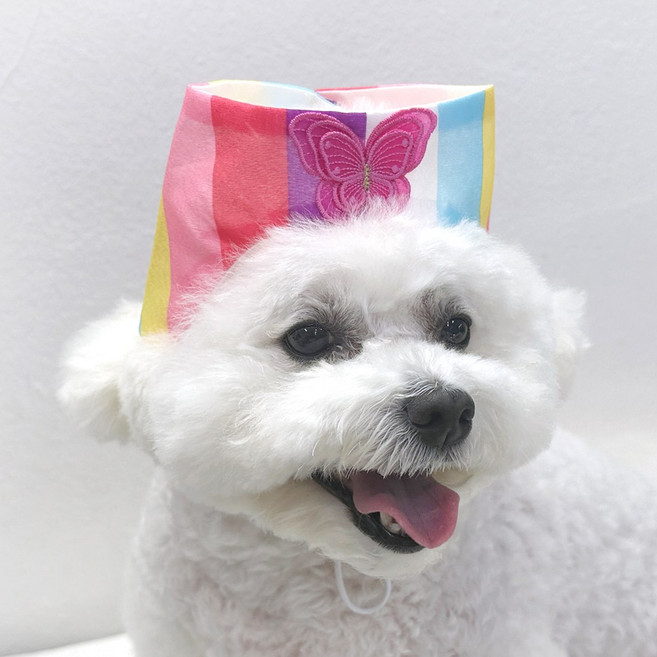 호나미네 핸드메이드 강아지 고양이 한복 색동 노방 조바위, 1개