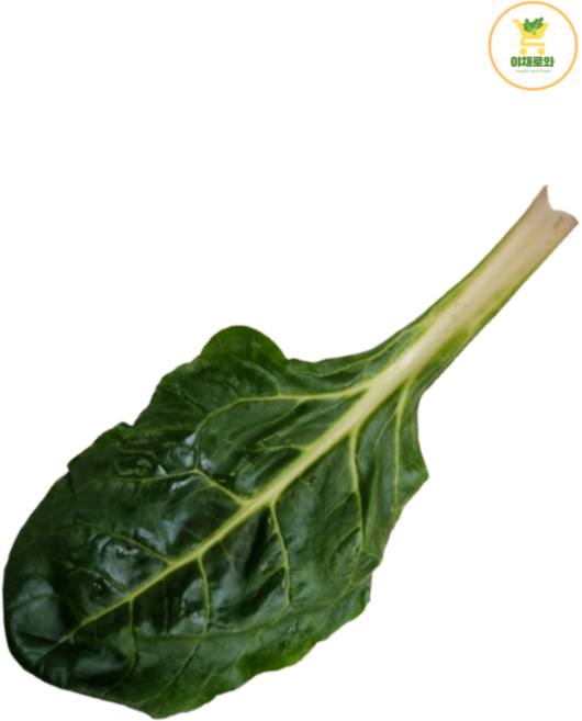 근대 (200g), 1개