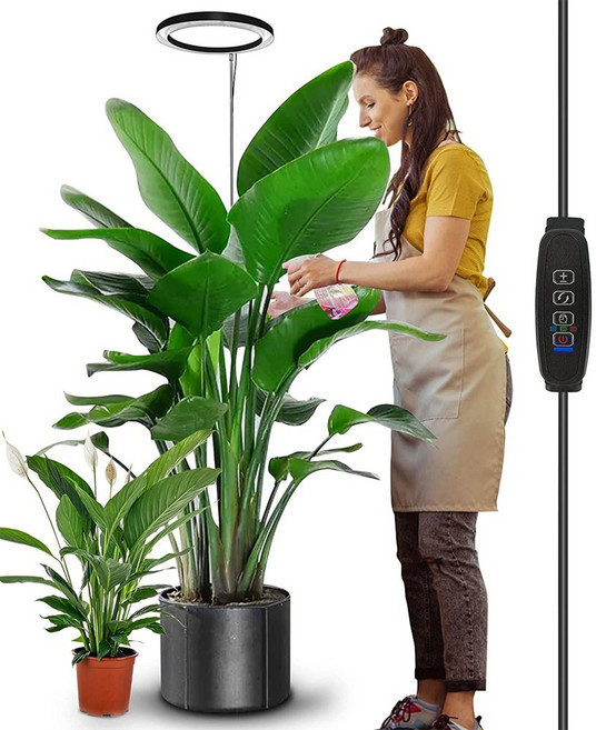 65CM 높이 조절 가능 LED 링 식물 재배등 실내 식물용 풀 스펙트럼 대형 식물등 USB 성장등, EU plug