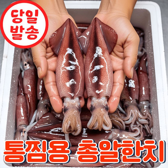 [한정수량] 통째먹는 한입 총알한치 한치 급냉, 500g(15미내외), 1개