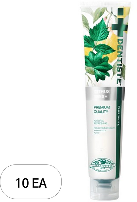 덴티스테 시트러스 후레쉬 치약, 200g, 10개