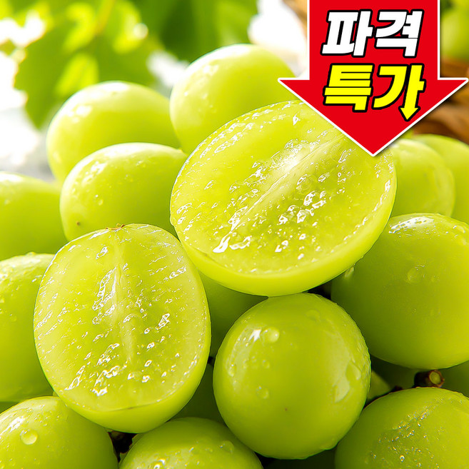 [꿀팜즈] 산지직송 초고당도 프리미엄 샤인머스켓, 1박스, 500g