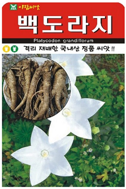 백도라지 씨앗 (합 2000립) 도라지 종자, 2개