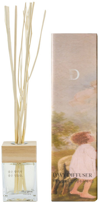 다비디퓨저 조향사가 직접 만든 실내용 디퓨저 100ml 비건방향제 향테리어 침실 카페 화장실 드레스룸 꿉꿉함제거, 프리미엄 자몽, 1개