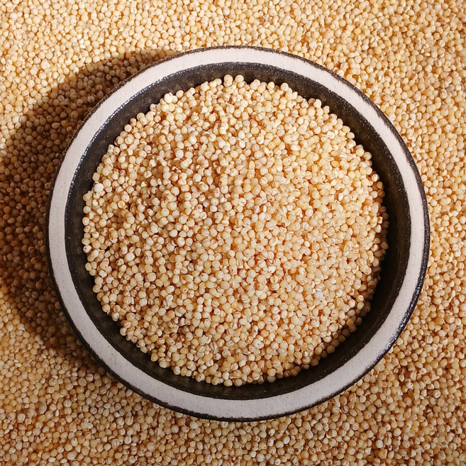 중국산 메조 5kg 수입 메좁쌀 찰기없는 좁쌀 모조 새모이 새밥 24년산, 1개