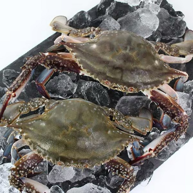 국내산 산지직송 빙장냉동 수산물 암꽃게1kg, 1개, 1kg