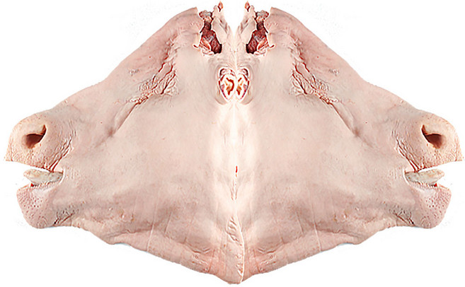 한우암소 발골 소머리정육 한마리 국밥 냉동 (뼈없음), 1개