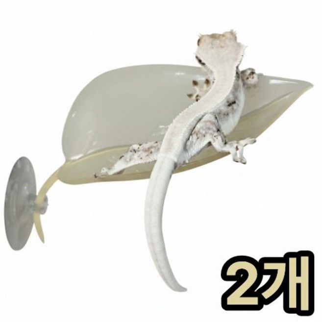 미니포레 나뭇잎 백업 크레 용품 도마뱀 사육장 꾸미기, 2개, 라이트베이지