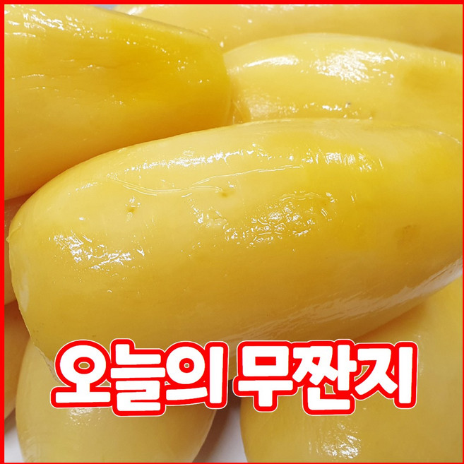 전통방식 국산 무짠지 1kg 여름철 대표 밑반찬, 1개