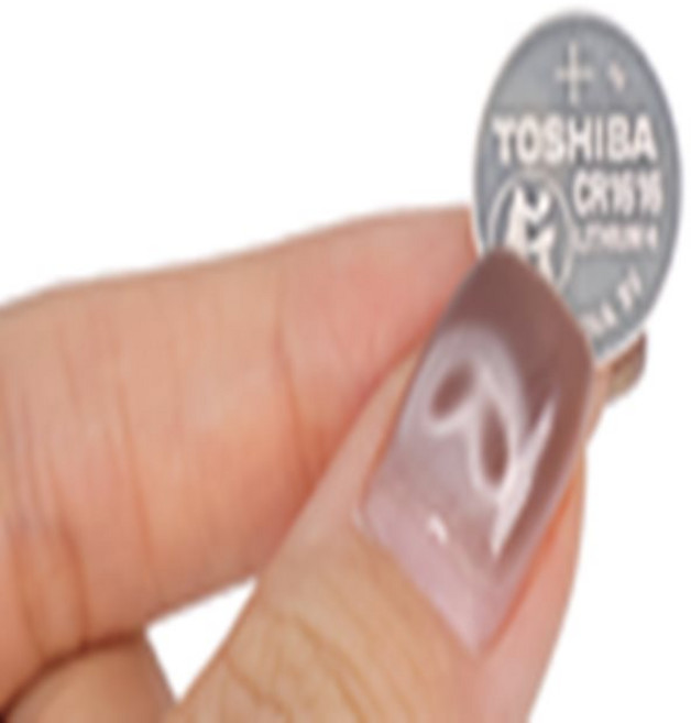 꼬물 도시바 코인건전지 5개 도시바CR1616코인건전지 알카라인건전지