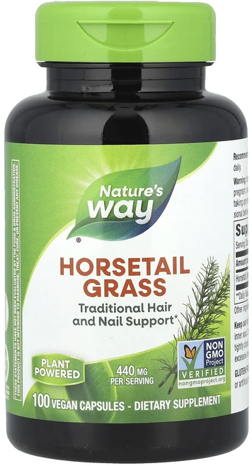 헁복하고 건강하세요 Nature's Way 쇠뜨기 440mg 비건 캡슐 100정 늘 챙기셔야합니다, NaturesWay쇠뜨기440mg비건캡슐100정, 1개 - 쿠팡