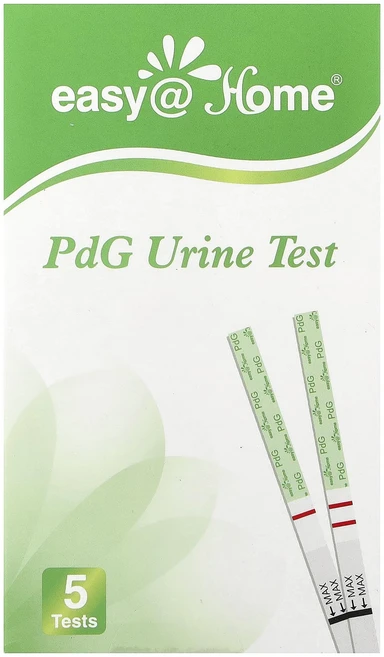 몸관리하세요 겨울입니다 Easy@Home PdG 소변 테스트 5가지 테스트 특별관리진행, EasyHome PdG 소변 테스트 5가지 테스트, 1, 5 - 쿠팡