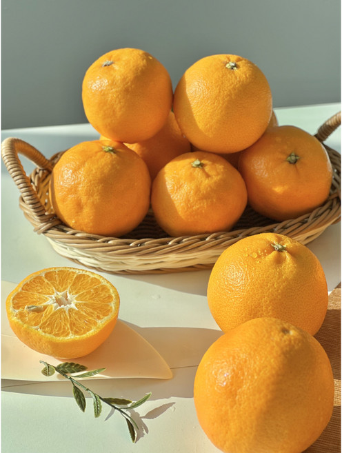 설단향 감귤 3kg 혼합과 고당도 귤 가정용 2kg 5kg, 1개