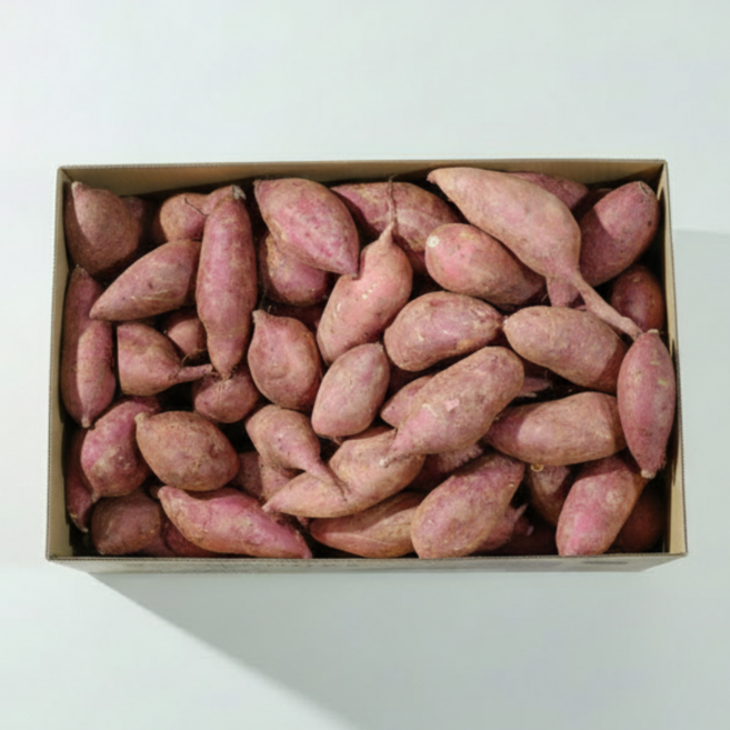 레드이츠 해남 고구마 꿀고구마, 1박스, 한입 10kg