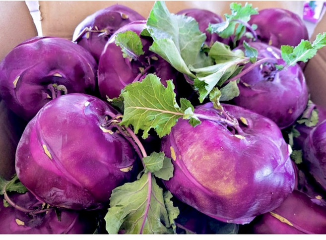 <맛쟁이> 제주산 아삭한 특품 콜라비 선별로 고른 신선함을 그대로!, 1박스, 5kg