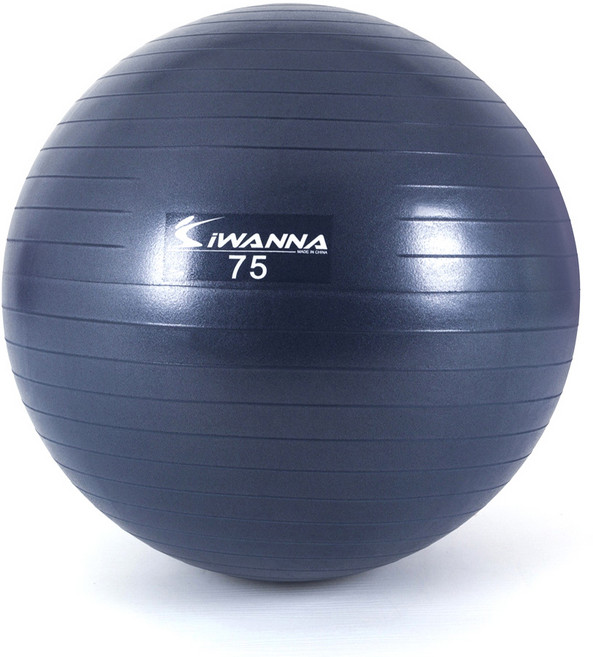 아이워너 안티버스트 마사지 짐볼, 블루인디고