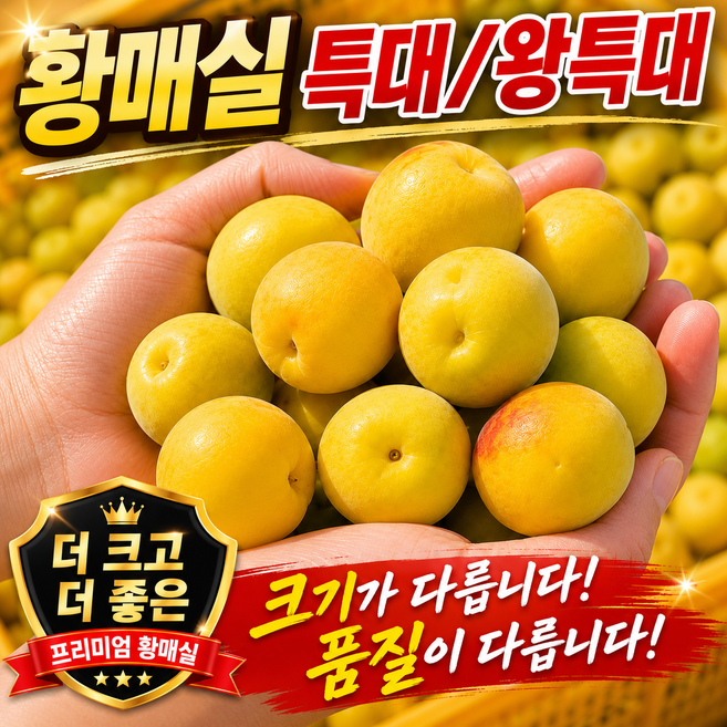 8위 - [최상품] 향 진한 황매실 엑기스 매실주용, 1개, 5kg (특대)