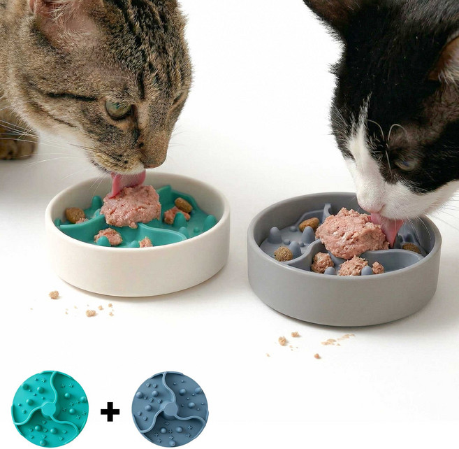 강아지 고양이 급체방지 실리콘 식기 탈부착식 반려동물 리킹매트, 파란색+초록색, 1세트